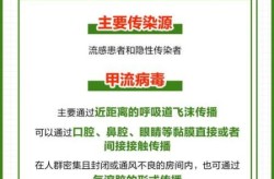 2024年中国流感毒株，2022年流感病毒是什么型病毒