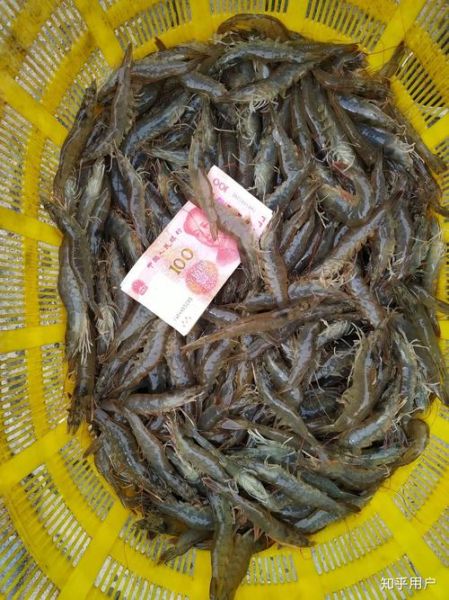 江西南美冻虾外包装检出新冠阳性(南美白虾仁有新冠病毒吗)
