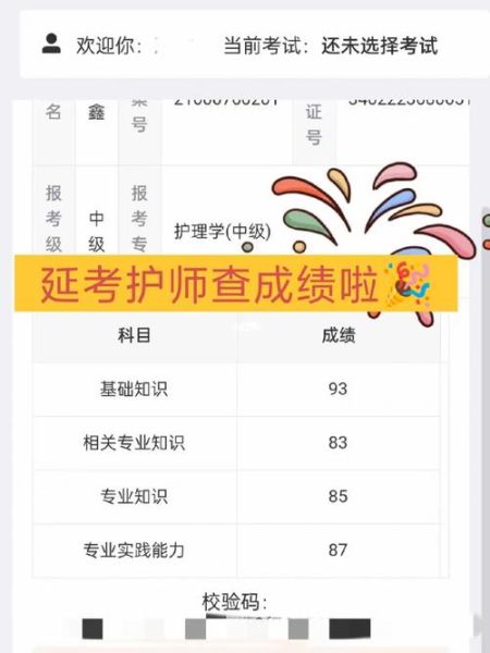 2013年护士资格考试成绩查询(2013年护士考试成绩查询)