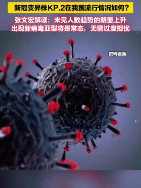 山东变异新型冠状病毒最新消息（新冠变异成什么病毒了）