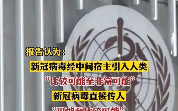 世卫组织发现新冠病毒，世卫新冠病毒溯源