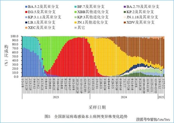新冠疫情到2023年结束,2022年新冠疫情