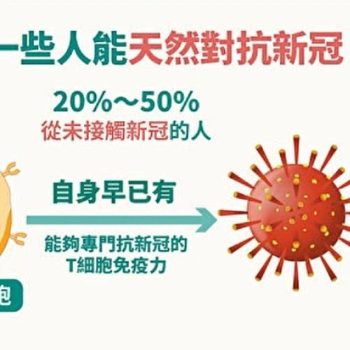 新冠治好后多久是安全的,新冠治好后免疫期多久