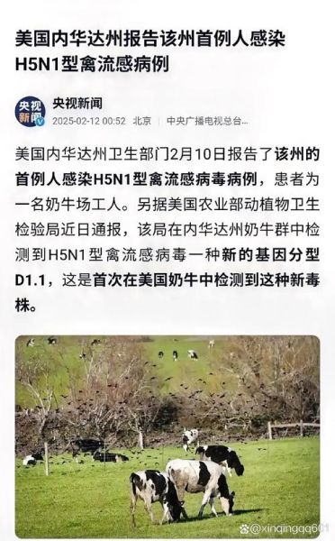 美国新病毒最近新消息,美国新行病毒