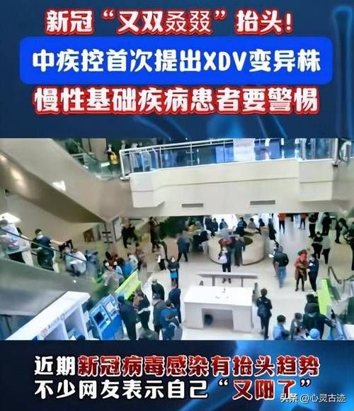 全国新病毒的最新消息,新病毒的最新消息