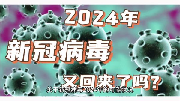 2024年12月病毒特征，2024年病毒