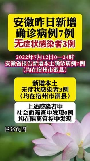 安徽新增3例本土确诊病例,安徽新增本土确诊病例