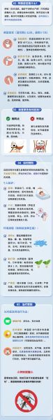 2025疫情会终结吗,疫情2026年能结束吗