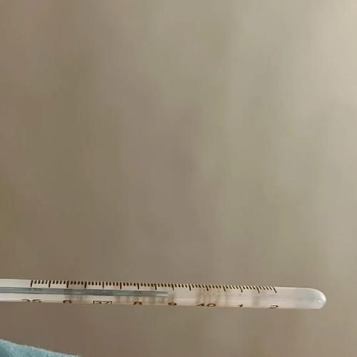 二阳可以正常上班吗,阳了可以去上班吗2025