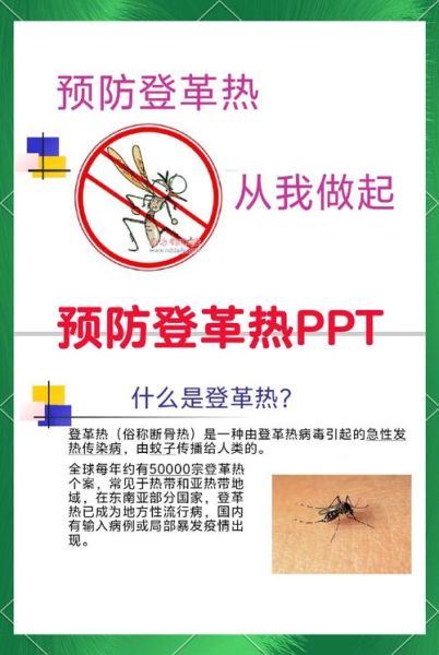 巴西登革热病毒最新消息，江西登革热最新疫情
