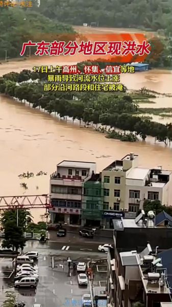我国最近特大新闻事件，广水市特大新闻事件