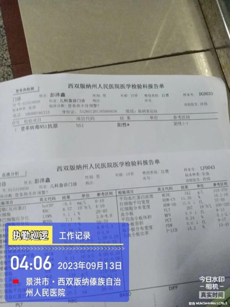 2024年登革热输入病例，登革热输入病例是指
