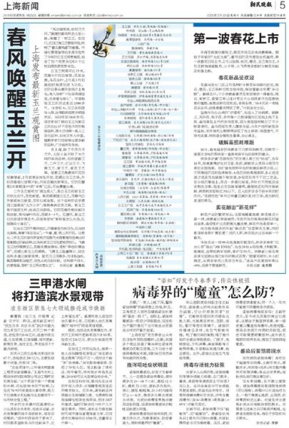 上海感染的是什么病毒，上海病毒感染68人死亡