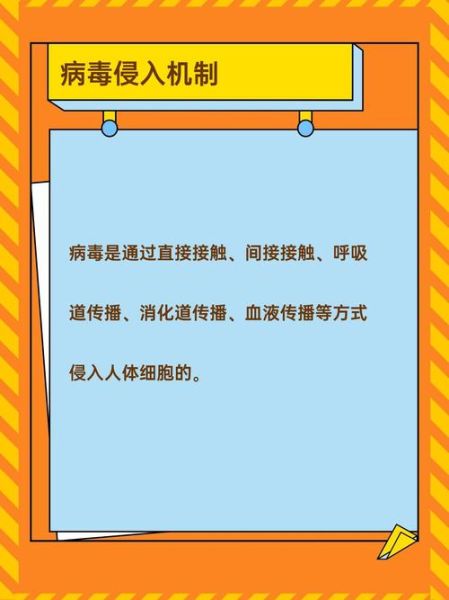 新冠病毒二次感染高峰的预测,新冠病毒第二次感染是不是很可怕