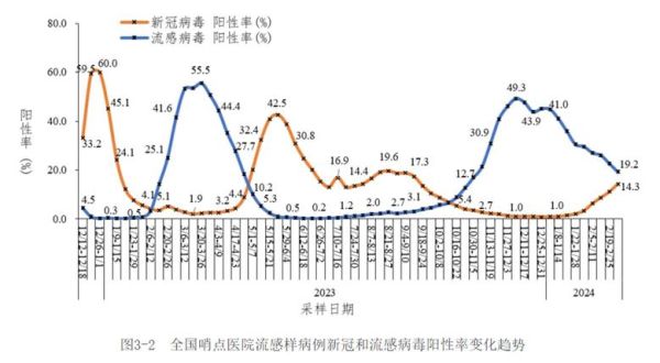 2024新冠病毒进入第几波,2024年最新新冠病毒