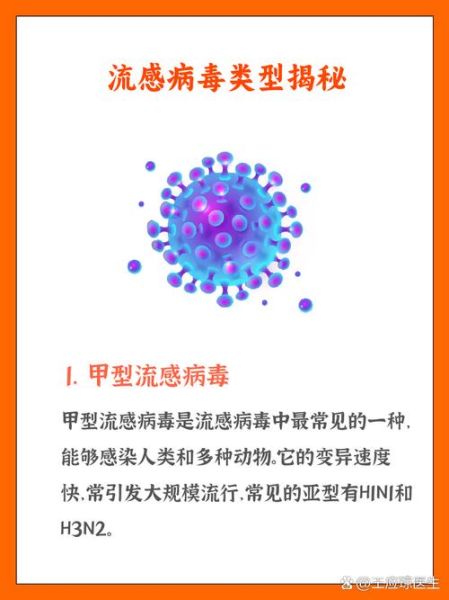 2023年流感病毒叫什么，2023年冬天流感病毒都有哪些