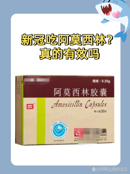 阿莫西林是不是抗生素，阿莫西林是万能消炎药吗