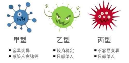 现在流感病毒叫什么名字，近期出现的病毒叫什么