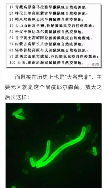 河北石家庄疫情源头在哪里，河北鼠疫疫源地是哪