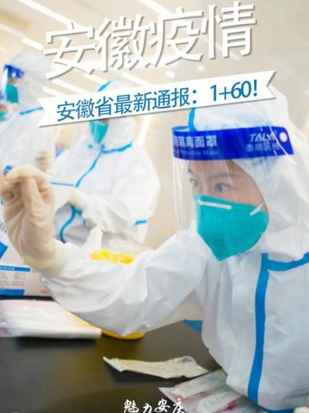 安徽省昨日疫情情况最新消息,安徽省最近出现的病毒