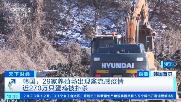 北京禽流感最新消息新闻,中国禽流感最新消息
