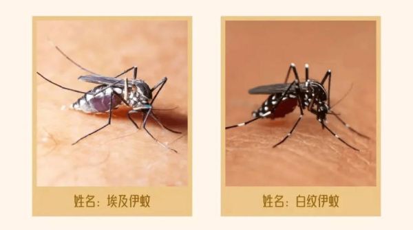 兰州的疫情最新消息，最近兰州出现的传染病是什么