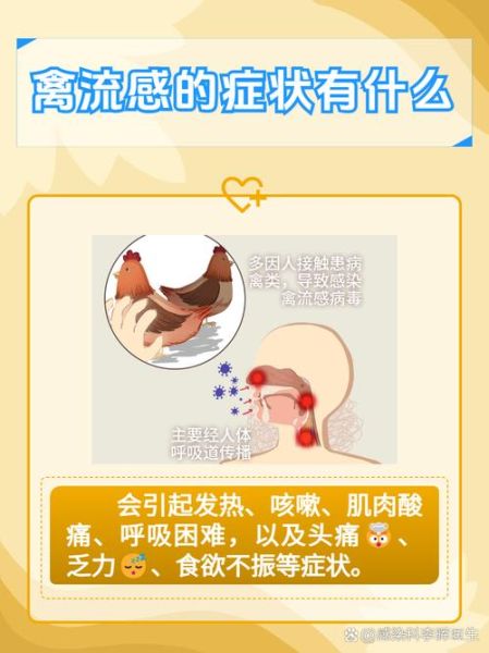 2023又出现禽流感了吗最新消息,中国禽流感最新消息